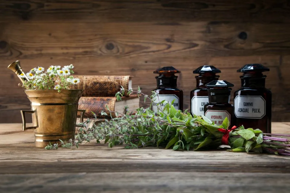 Medicalia 2 | Fiano Romano |