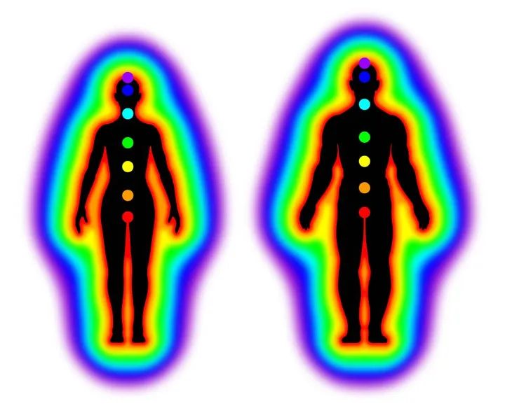 Medicalia 2 | Fiano Romano |